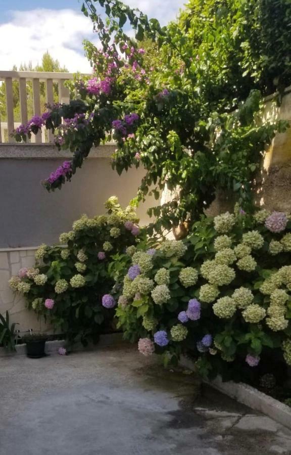 Apartment Ines Omiš Zewnętrze zdjęcie
